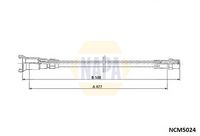 NAPA NCM5024 - Árbol flexible del velocímetro
