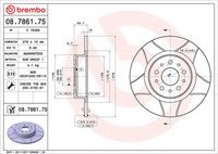BREMBO 08786175 - Disco de freno - XTRA LINE - Max