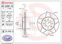 BREMBO 09550975 - Disco de freno - XTRA LINE - Max