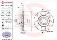 BREMBO 09701175 - Disco de freno - XTRA LINE - Max