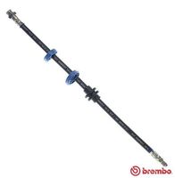 BREMBO T23034 - Tubo flexible de frenos - ESSENTIAL LINE
