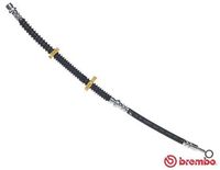 BREMBO T44031 - Tubo flexible de frenos - ESSENTIAL LINE