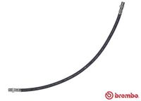 BREMBO T50037 - Tubo flexible de frenos - ESSENTIAL LINE