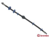 BREMBO T23015 - Tubo flexible de frenos - ESSENTIAL LINE