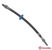 BREMBO T24004 - Tubo flexible de frenos - ESSENTIAL LINE