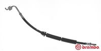 BREMBO T24087 - Tubo flexible de frenos - ESSENTIAL LINE