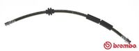 BREMBO T24127 - Tubo flexible de frenos - ESSENTIAL LINE