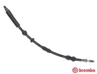 BREMBO T24140 - Tubo flexible de frenos - ESSENTIAL LINE