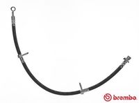 BREMBO T28098 - Tubo flexible de frenos - ESSENTIAL LINE