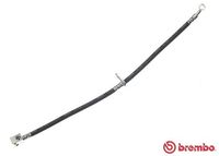 BREMBO T28121 - Tubo flexible de frenos - ESSENTIAL LINE