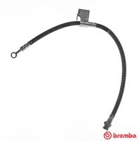 BREMBO T30049 - Tubo flexible de frenos - ESSENTIAL LINE