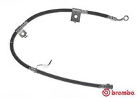 BREMBO T30084 - Tubo flexible de frenos - ESSENTIAL LINE