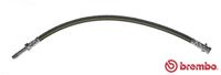 BREMBO T50032 - Tubo flexible de frenos - ESSENTIAL LINE