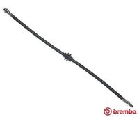 BREMBO T52062 - Tubo flexible de frenos - ESSENTIAL LINE