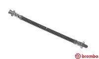 BREMBO T54036 - Tubo flexible de frenos - ESSENTIAL LINE