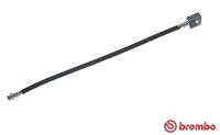 BREMBO T59011 - Tubo flexible de frenos - ESSENTIAL LINE
