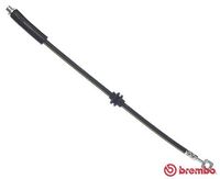 BREMBO T59086 - Tubo flexible de frenos - ESSENTIAL LINE
