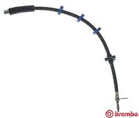 BREMBO T61034 - Tubo flexible de frenos - ESSENTIAL LINE