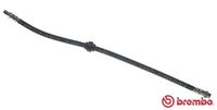 BREMBO T61036 - Tubo flexible de frenos - ESSENTIAL LINE