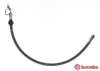 BREMBO T68042 - Tubo flexible de frenos - ESSENTIAL LINE