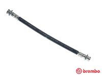 BREMBO T79011 - Tubo flexible de frenos - ESSENTIAL LINE