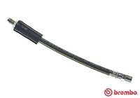 BREMBO T85037 - Tubo flexible de frenos - ESSENTIAL LINE