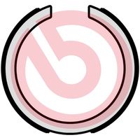 BREMBO S15502 - Juego de zapatas de frenos, freno de estacionamiento - ESSENTIAL LINE
