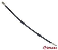 BREMBO T 06 013 - Tubo flexible de frenos
