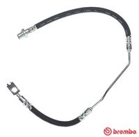 BREMBO T 06 015 - Tubo flexible de frenos