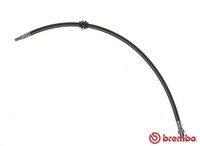 BREMBO T06045 - Tubo flexible de frenos - ESSENTIAL LINE