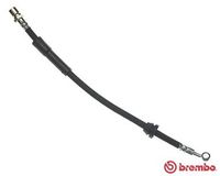 BREMBO T15003 - Tubo flexible de frenos - ESSENTIAL LINE