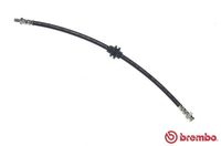 BREMBO T23038 - Tubo flexible de frenos - ESSENTIAL LINE