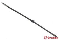 BREMBO T24031 - Tubo flexible de frenos - ESSENTIAL LINE