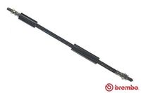 BREMBO T24032 - Tubo flexible de frenos - ESSENTIAL LINE