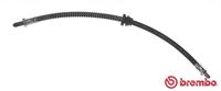 BREMBO T24073 - Tubo flexible de frenos - ESSENTIAL LINE