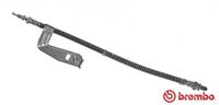 BREMBO T24096 - Tubo flexible de frenos - ESSENTIAL LINE