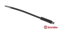 BREMBO T24112 - Tubo flexible de frenos - ESSENTIAL LINE