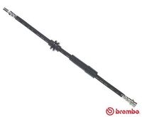 BREMBO T24120 - Tubo flexible de frenos - ESSENTIAL LINE