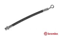 BREMBO T28033 - Tubo flexible de frenos - ESSENTIAL LINE