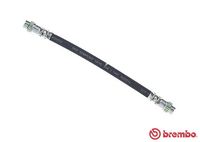 BREMBO T68031 - Tubo flexible de frenos - ESSENTIAL LINE