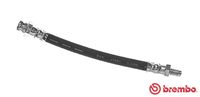 BREMBO T54024 - Tubo flexible de frenos - ESSENTIAL LINE