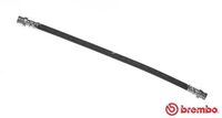 BREMBO T54031 - Tubo flexible de frenos - ESSENTIAL LINE