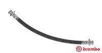 BREMBO T54032 - Tubo flexible de frenos - ESSENTIAL LINE
