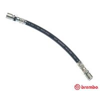 BREMBO T59002 - Tubo flexible de frenos - ESSENTIAL LINE