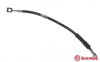 BREMBO T59080 - Tubo flexible de frenos - ESSENTIAL LINE