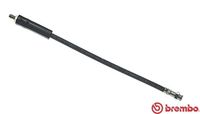 BREMBO T61001 - Tubo flexible de frenos - ESSENTIAL LINE