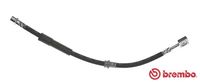 BREMBO T 71 015 - Tubo flexible de frenos