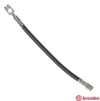 BREMBO T85137 - Tubo flexible de frenos - ESSENTIAL LINE