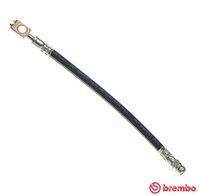 BREMBO T85146 - Tubo flexible de frenos - ESSENTIAL LINE