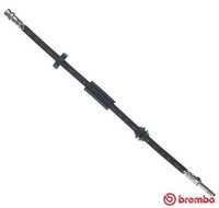 BREMBO T86034 - Tubo flexible de frenos - ESSENTIAL LINE